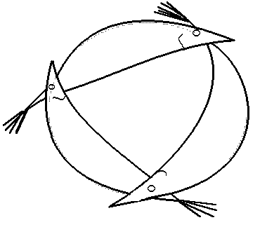 3fish.gif (2871 bytes)